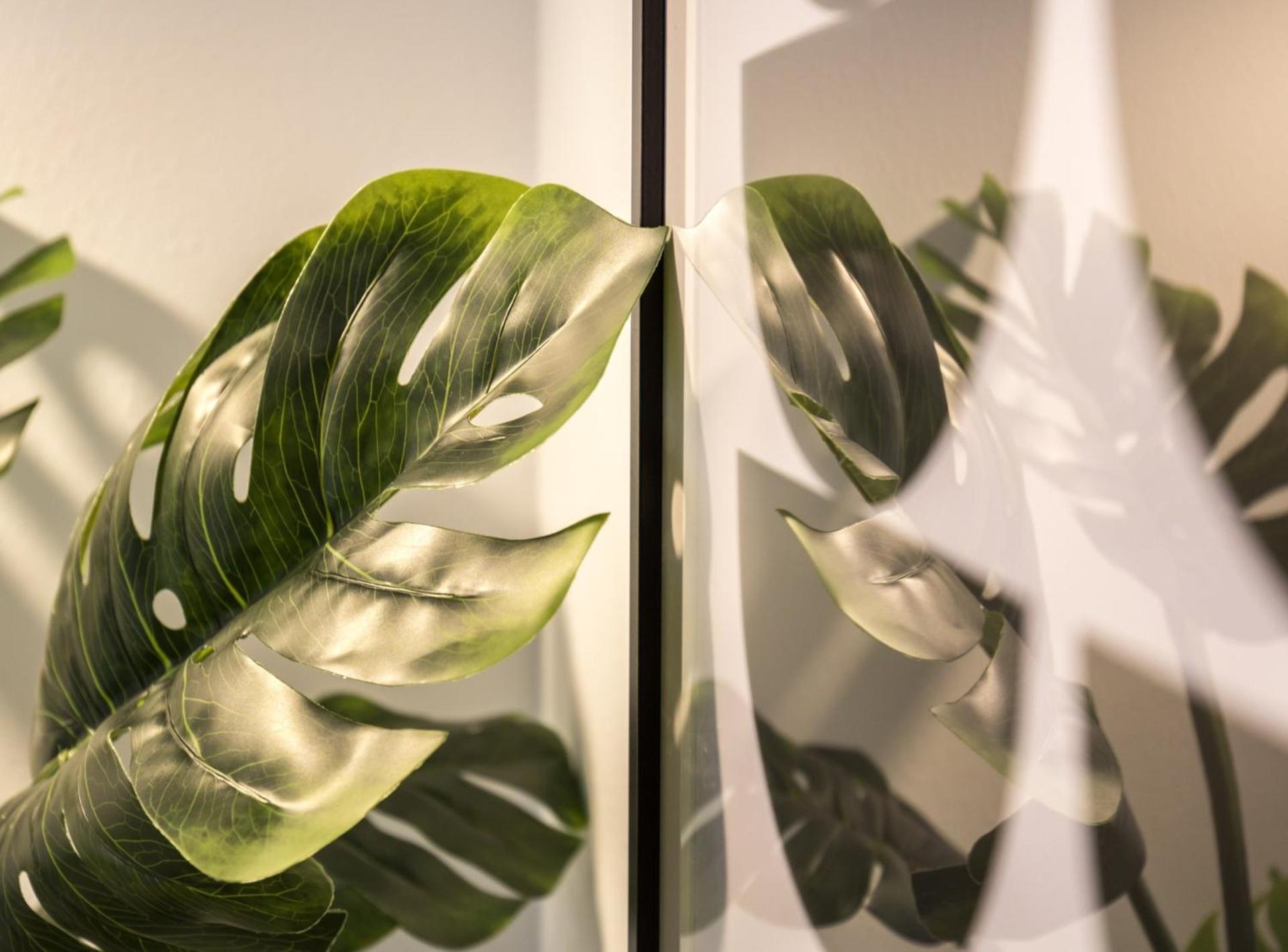 Picasso Suites Barcelona Exteriör bild
